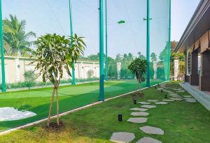 những loại cây bóng mát thường trồng