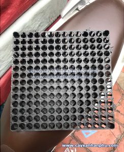 vĩ thoát nước giá rẻ