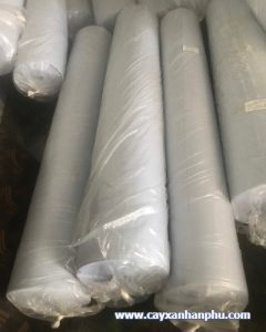 vải địa kỹ thuật trồng cây